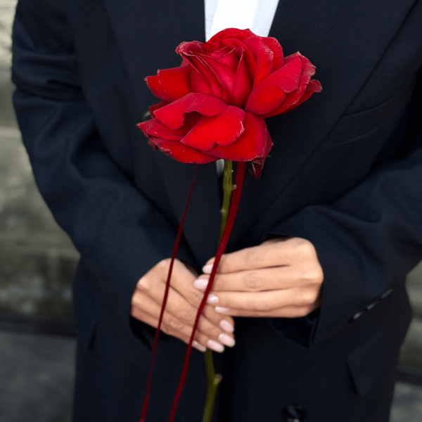 باکس گل رز Valentine's Secret Roses 2024 - Image 9