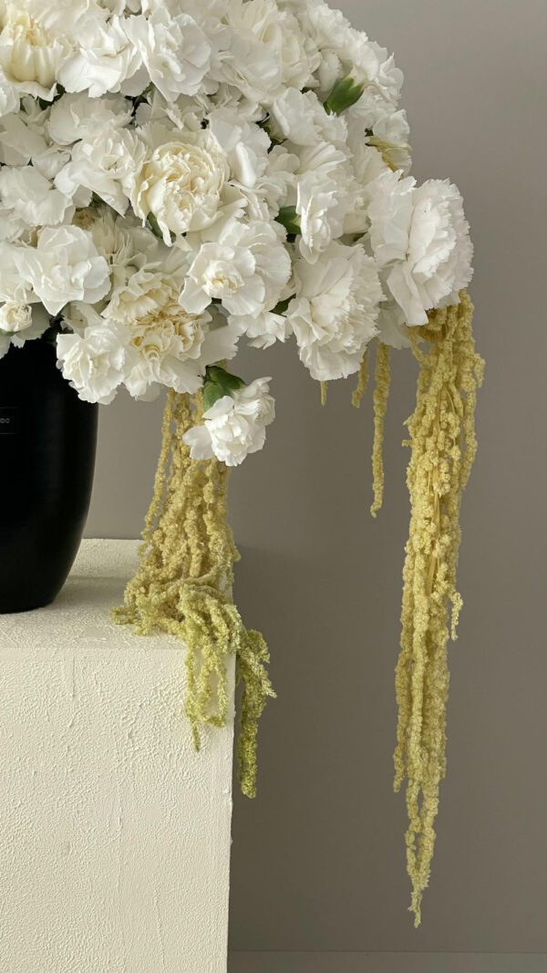 گل لیسیانتوس