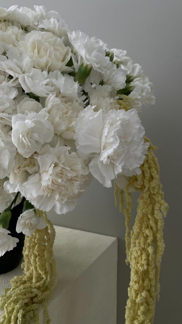 گل لیسیانتوس