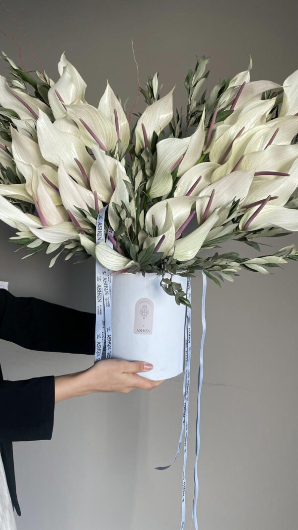 باکس گل لومینا