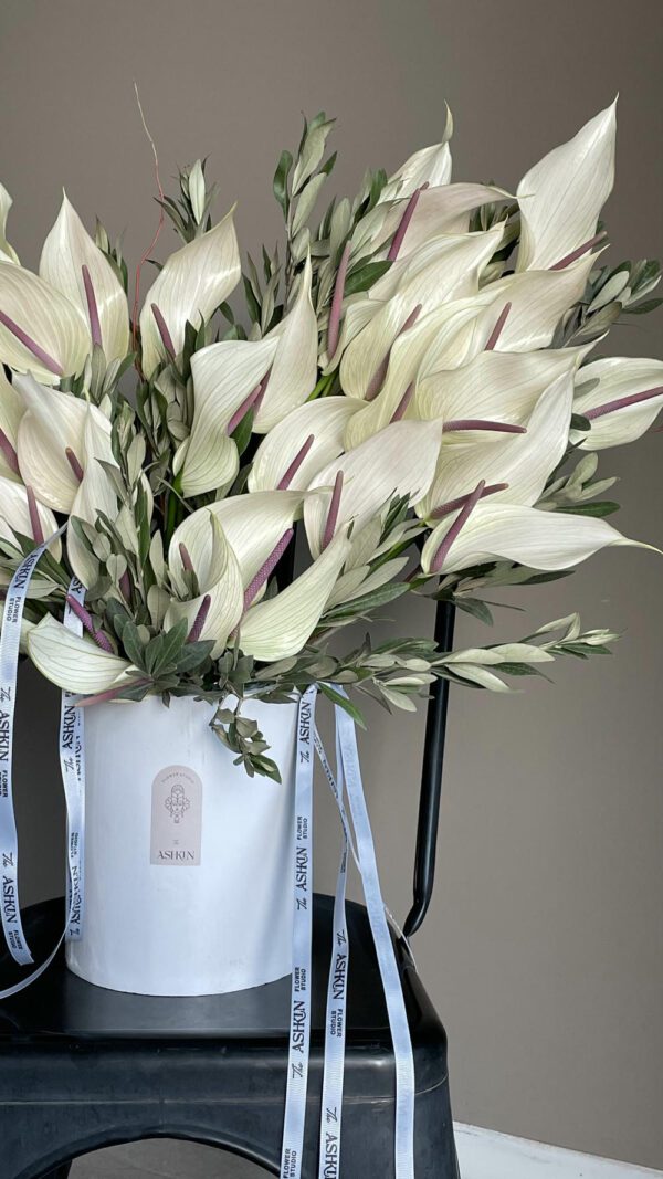 باکس گل لومینا