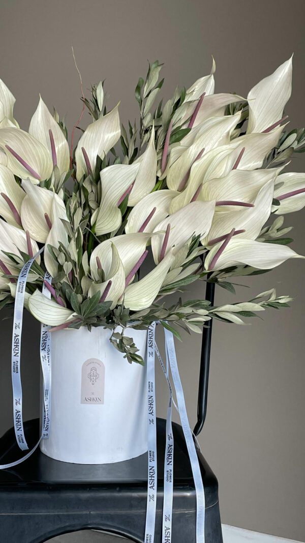 باکس گل لومینا