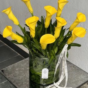 گل شیپوری هلندی زرد