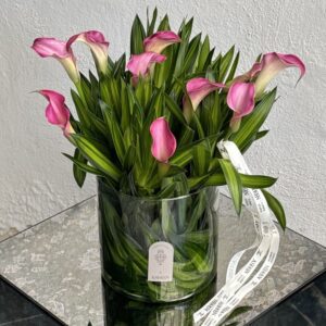 گل شیپوری هلندی صورتی