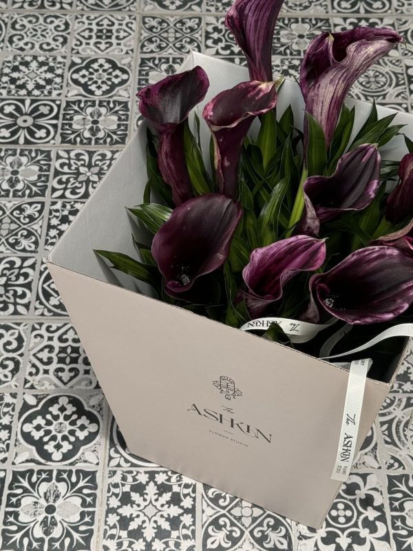 گلدان شیپوری هلندی بنفش - Image 4