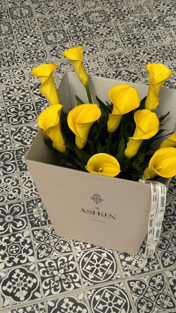 گل شیپوری هلندی زرد - Image 4