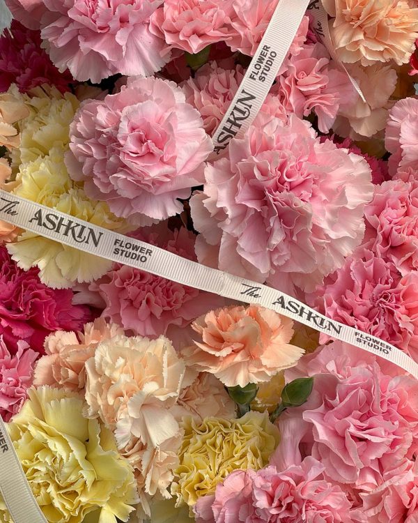 گلدان میخک سوربتو