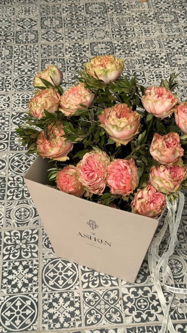 گل رز ژولیت