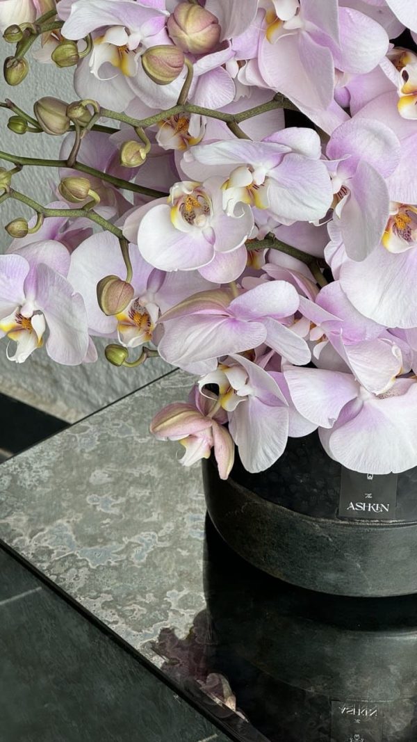گلدان ارکیده استودیو گل آشکین