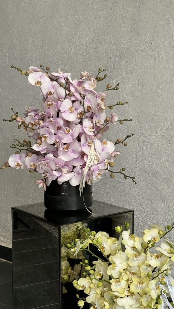 گلدان ارکیده استودیو گل آشکین