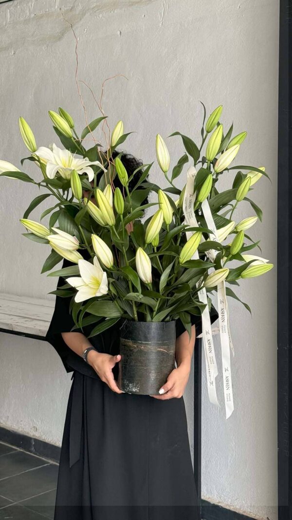 گلدان اورینتال Stonique Oriental