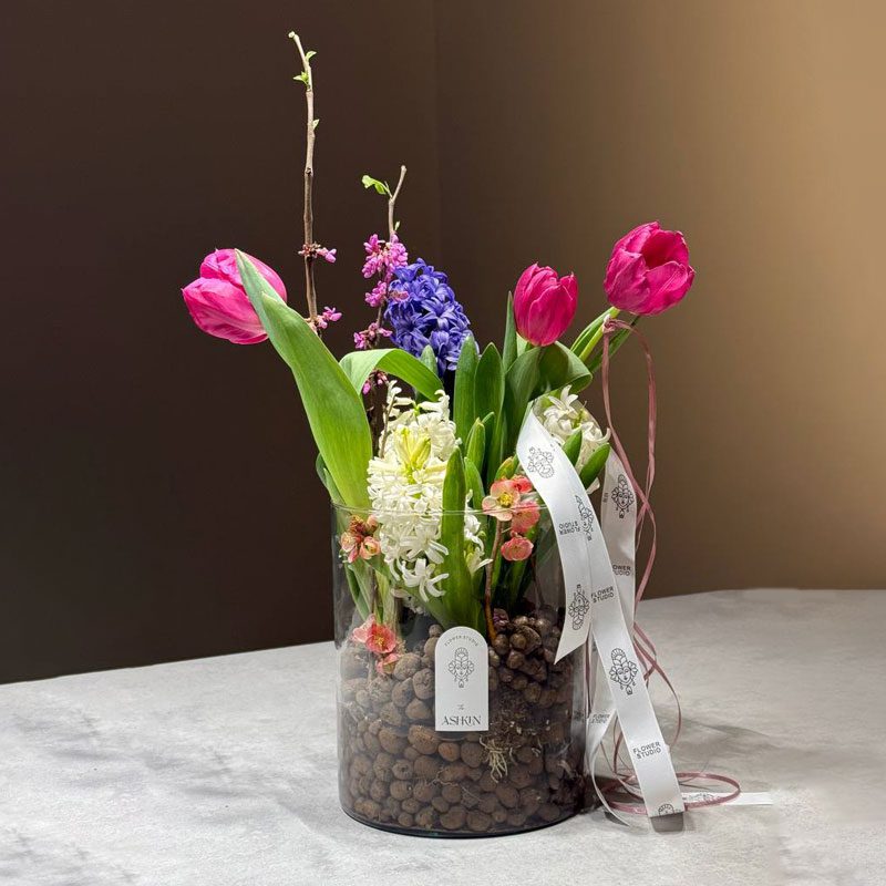 گل لاله بهاری