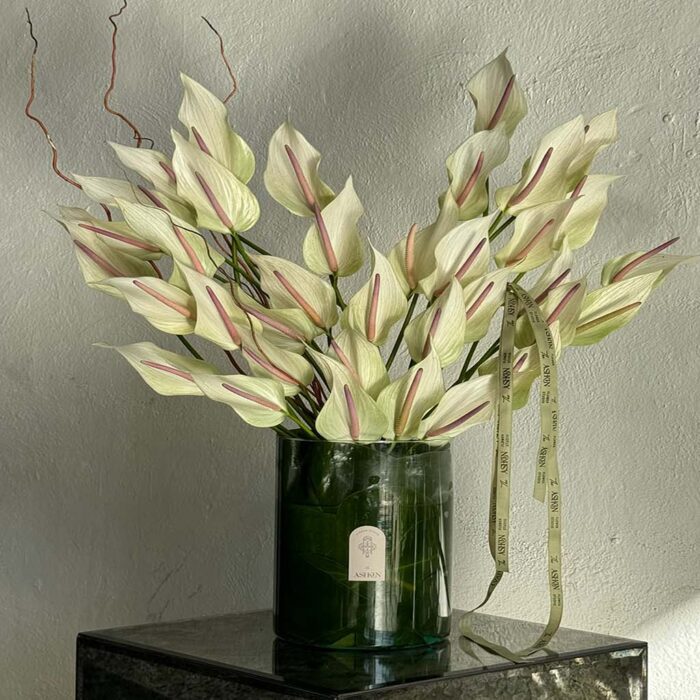 گلدان آنتوریوم لومینا