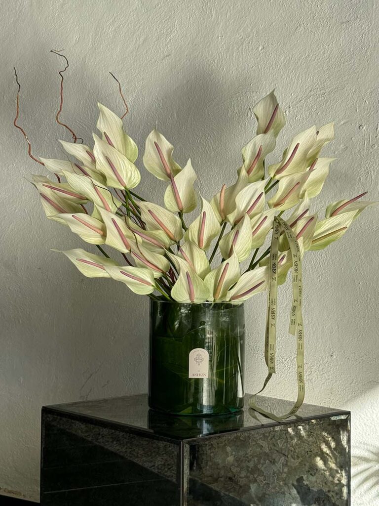 گلدان آنتوریوم لومینا