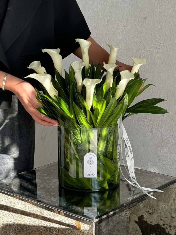 گلدان شیپوری هلندی سفید