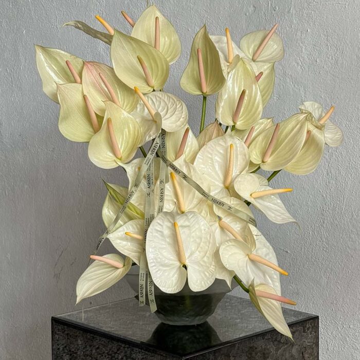 گلدان آنتوریوم سفید