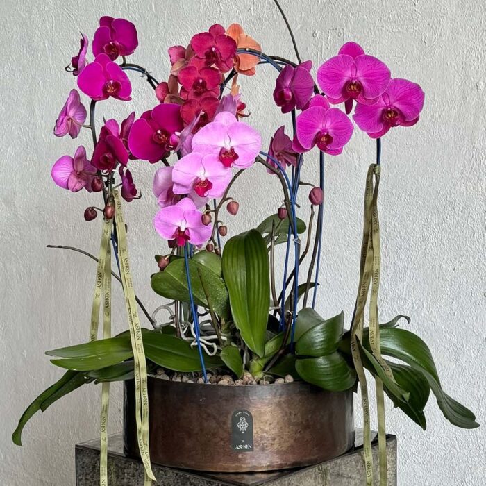 گلدان فلزی دست‌‌ساز ارکیده ریشه دار سایز بزرگ
