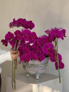 گلدان دستساز سفالی ارکیده شاخه بریده ارغوانی سایز کوچک